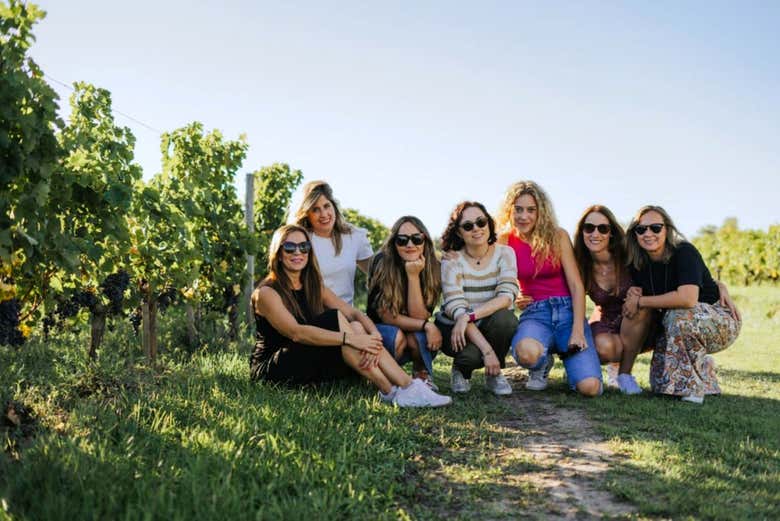 Découvrez un vignoble de la région