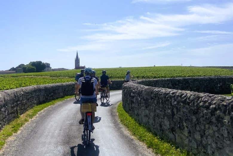Cycle through the vineyards