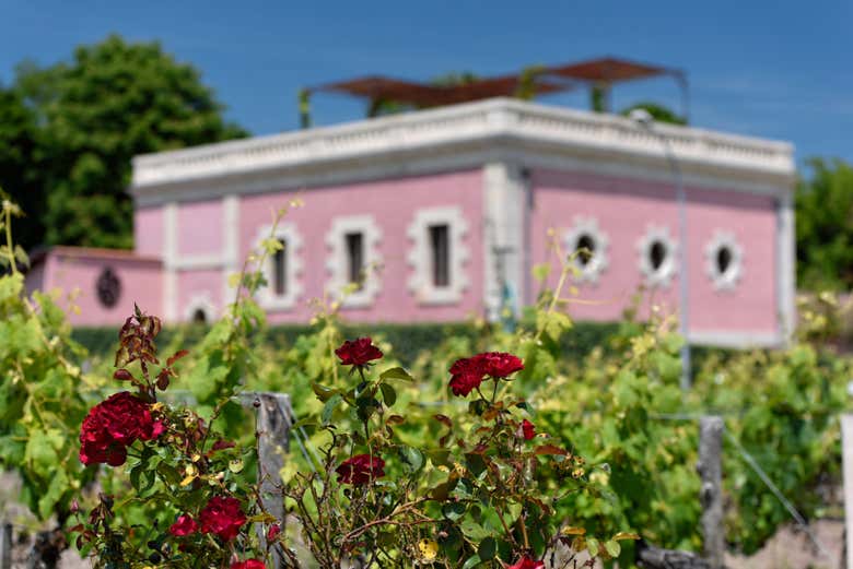 Médoc wine estate