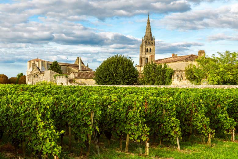 Saint Emilion vineyards