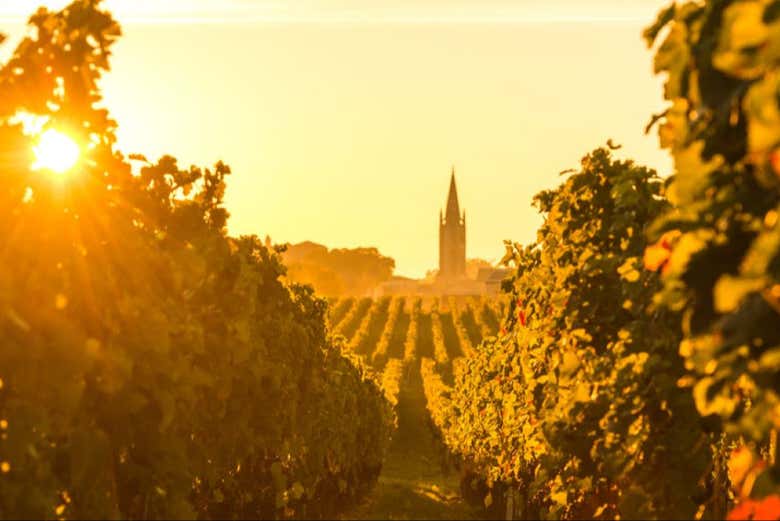 Saint-Émilion vineyards