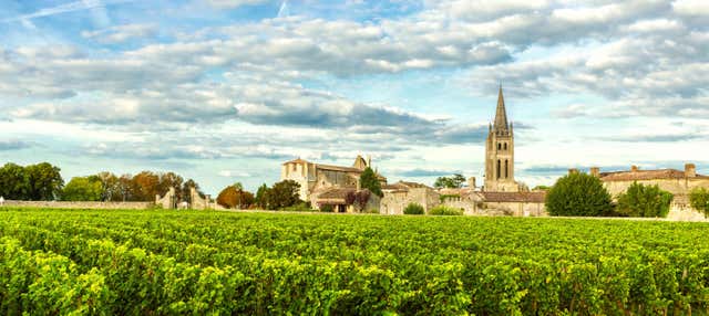 Tour de bicicleta pelos vinhedos de Saint-Émilion