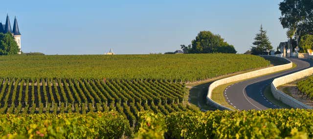 Tour por la región de Médoc con cata de vinos