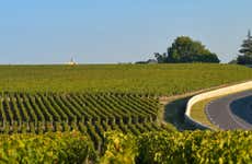 Tour della regione di Médoc con degustazione di vino
