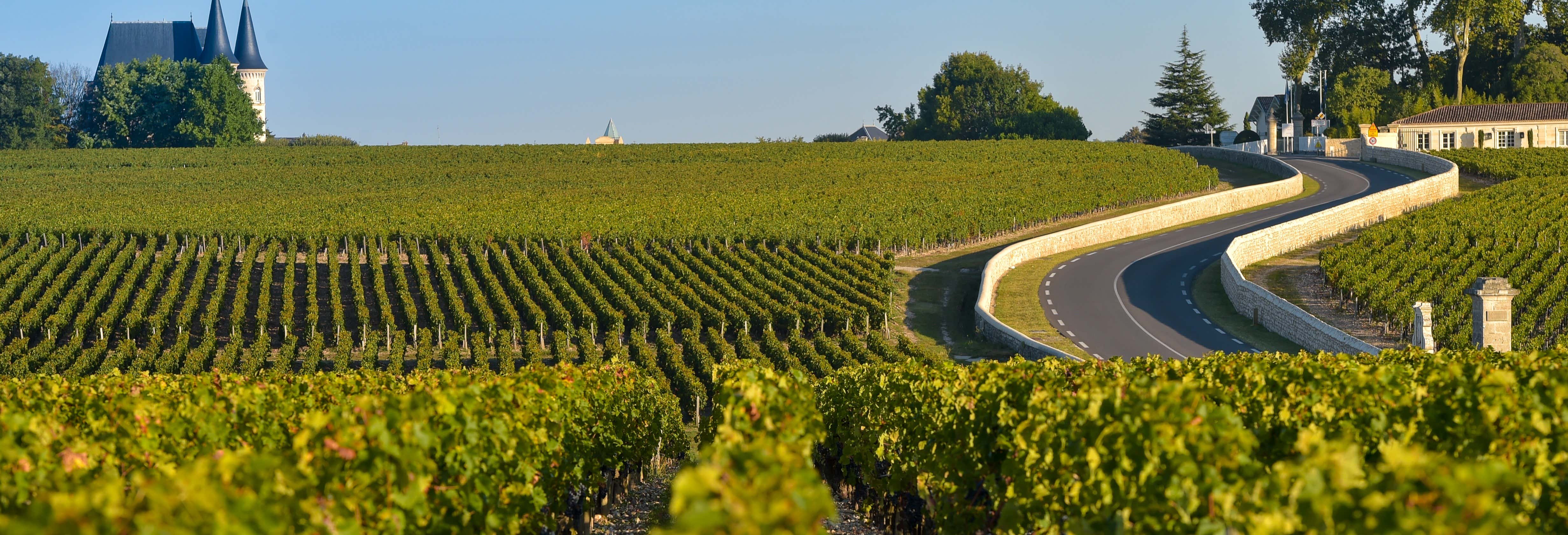 Day trips in Bordeaux