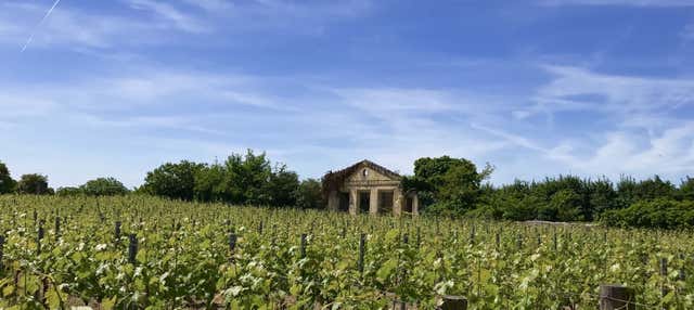 Excursión a Saint-Émilion + Cata de vinos en una bodega