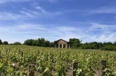 Tour de vinhedos e adegas por Saint-Émilion