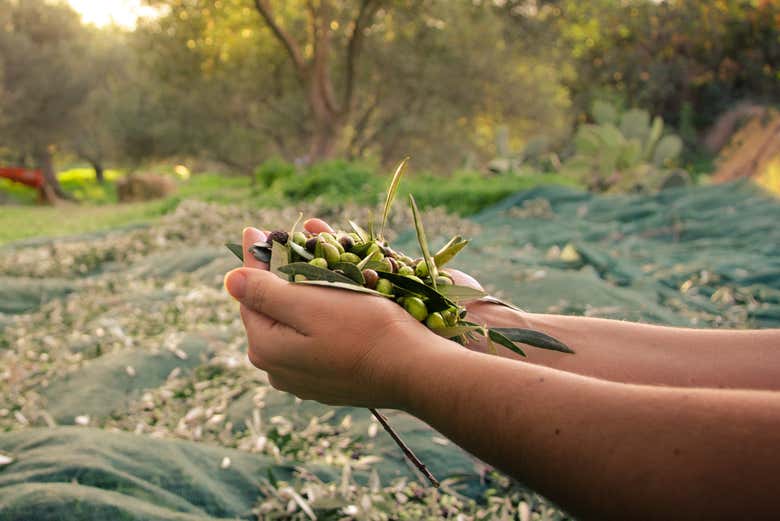 Make the most of the autunm in rural France