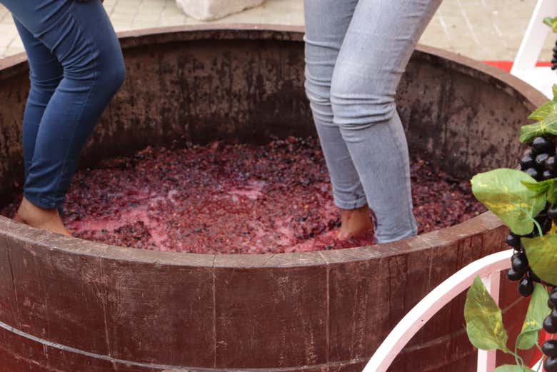 El pisado de la uva es una gran fiesta provenzal