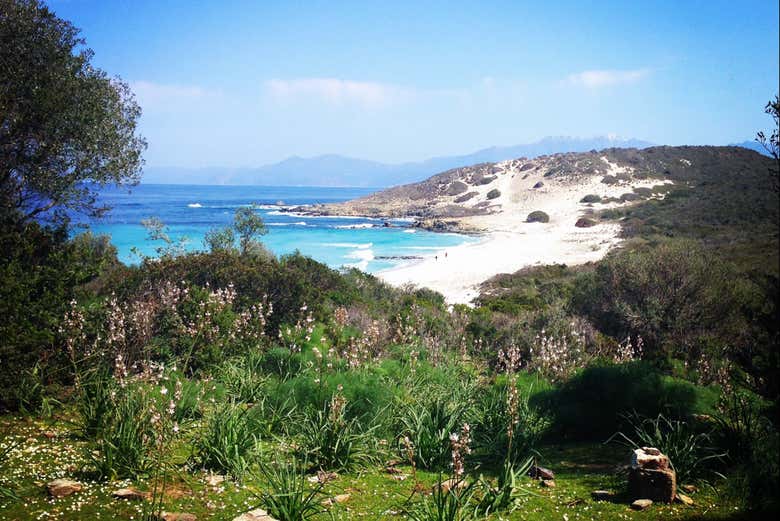 Breathtaking views of the cove