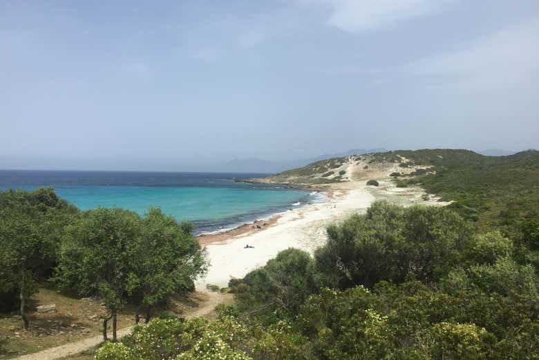 Cove with turquoise waters