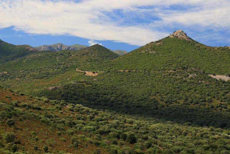 Corsica Regional Natural Park
