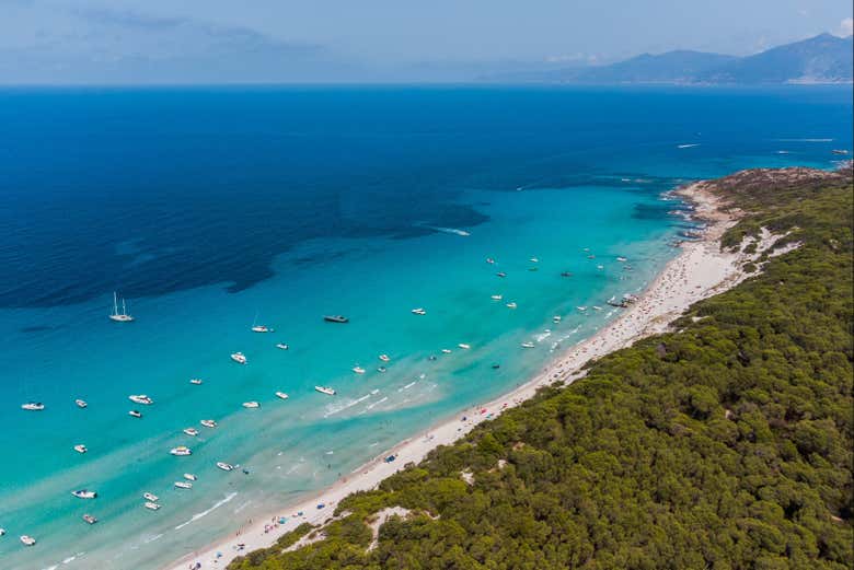 Panorámica de la playa de Saleccia