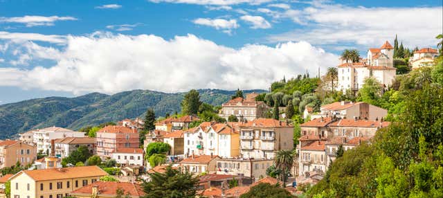 Excursión a Grasse + Degustación de vino