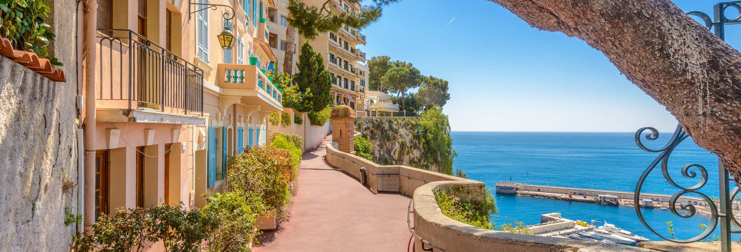 Excursions d'une journée à Cannes