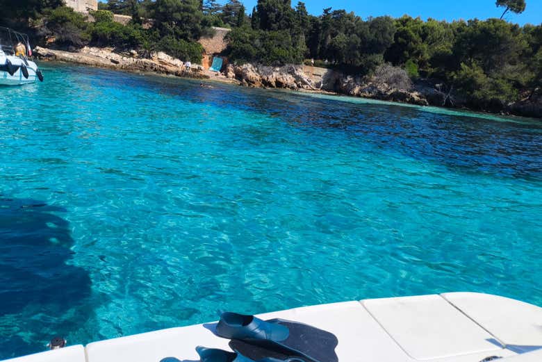Fond marin des Îles Lérins