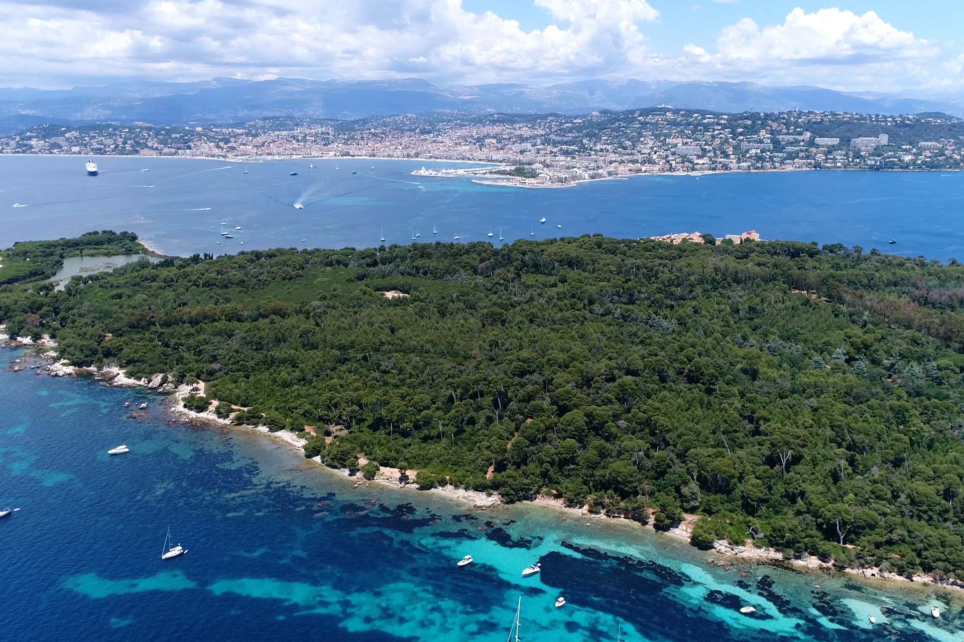 Tour por Cannes + Isla Santa Margarita Reserva en