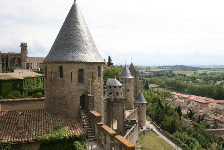 Merli della cittadella di Carcassonne