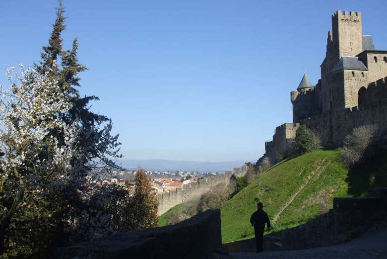 Vue sur la Cité de Carcassonne