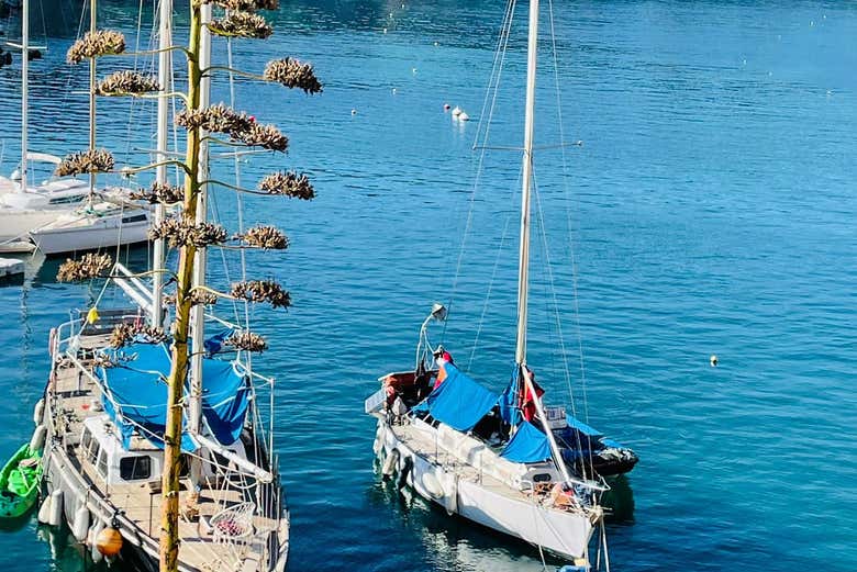 Fishing boats
