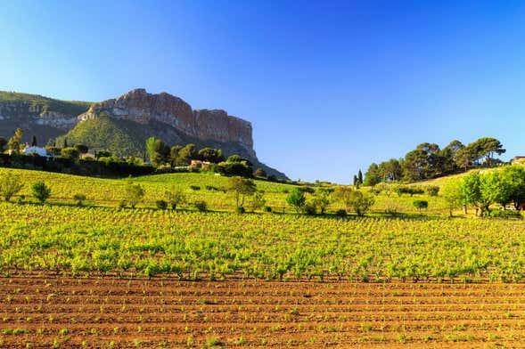 Cassis Vineyards Electric Bike Tour