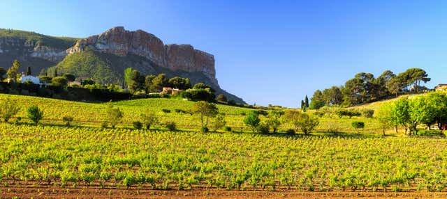 Tour en bicicleta eléctrica por los viñedos de Cassis