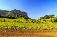 Tour en bicicleta eléctrica por los viñedos de Cassis
