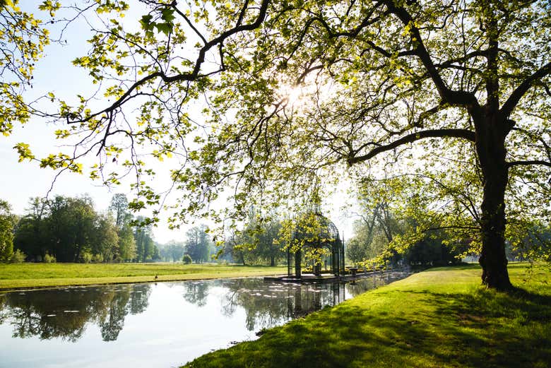 Vue sur les jardins de Chantilly