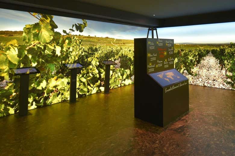 Una delle sale del Museo del Vino