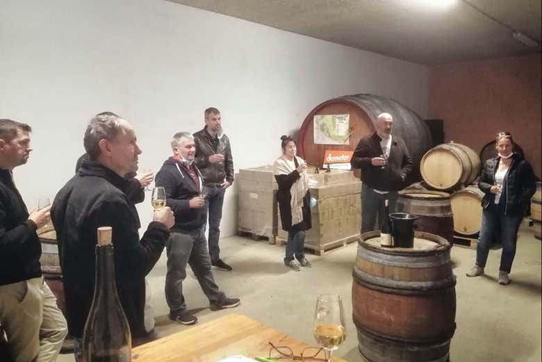 Try 5 different fine wines