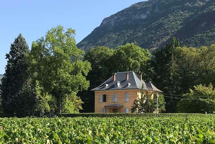 Learn about the wine-making process