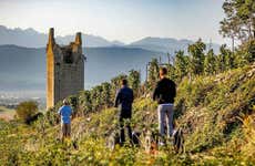 Balade en segway dans Chignin + dégustation de vins
