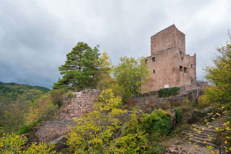 Château du Hohlandsbourg