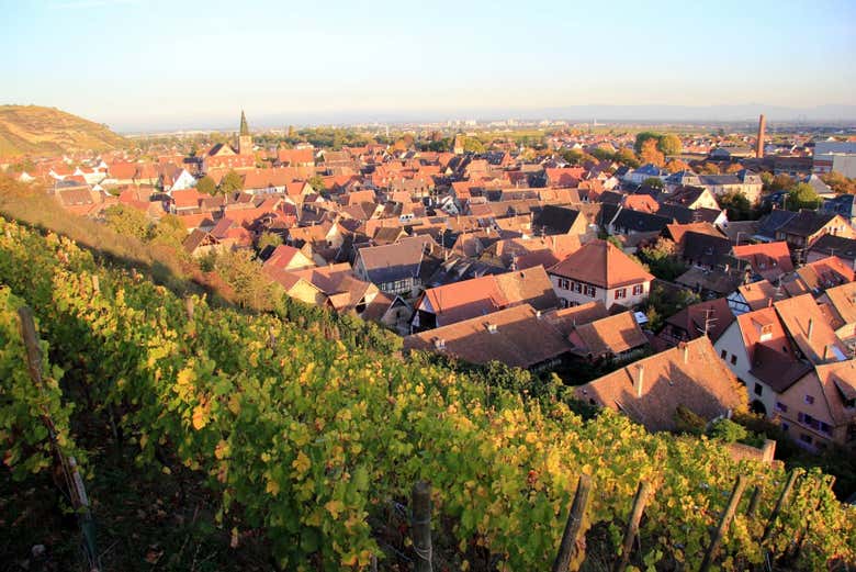 Panoramica di Turckheim