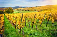 Alsace Wine Route
