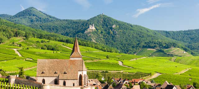 Visite complète de l'Alsace