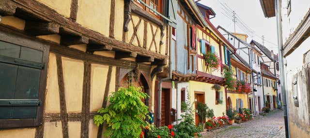 Excursión a Eguisheim y Turckheim + Cata de vinos