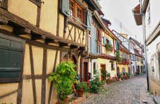 Tour por Eguisheim y Turckheim + Cata de vinos