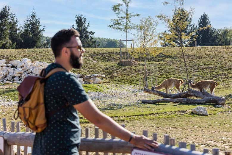 Contemplando la fauna del parque