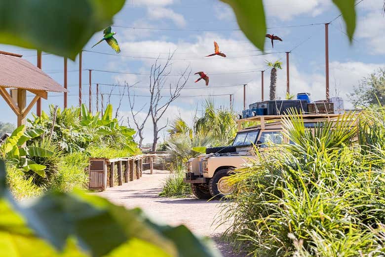 Instalaciones de Parrot World