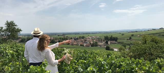 Tour del vino de Borgoña