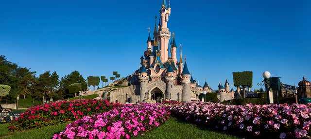 Oferta Familia y Amigos: Entradas a Disneyland® Paris