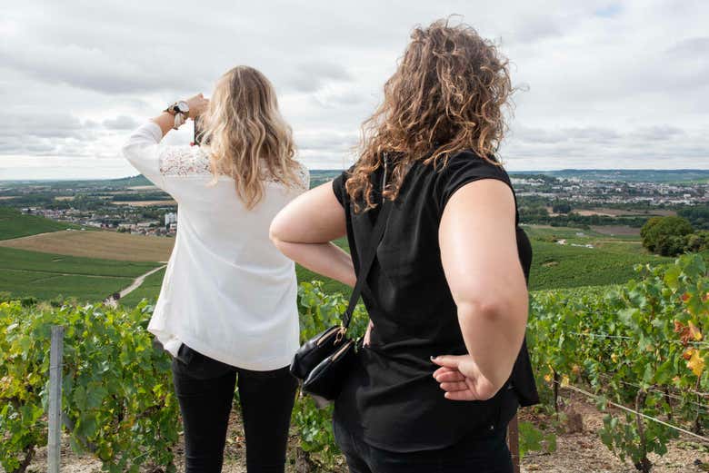 Fotografando os vinhedos