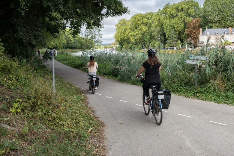 Rota de bicicleta elétrica pelos vinhedos