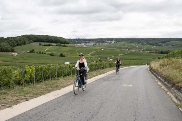 Tour del champán en bicicleta eléctrica