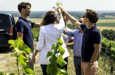 Tour por Épernay, Hautvillers y Mareuil + Bodegas Boizel