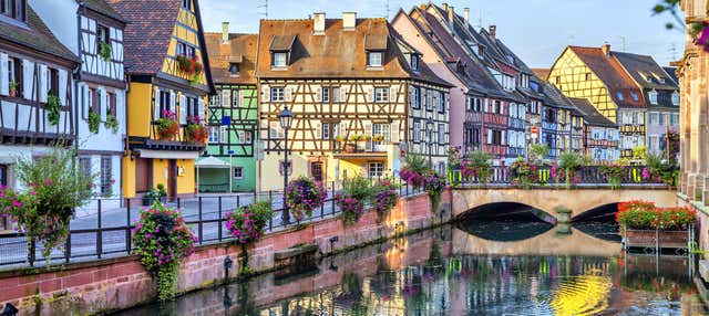 Tour por Alsacia + Castillo Haut-Koenigsbourg