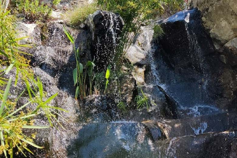 Cachoeira do Jardim Exótico de Èze