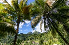 Excursion privée au nord de la Martinique
