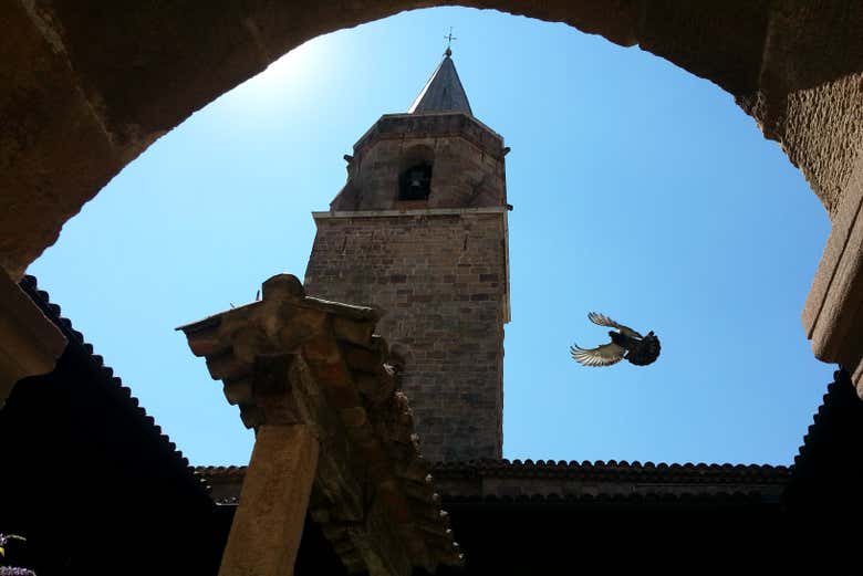 Aves sobrevolando el monumento